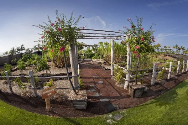Luxury Homes that Feature an Organic Community Farm