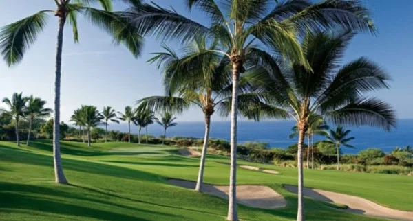 Save the Date – Habitat for Humanity Golf Tournament at Hokulia