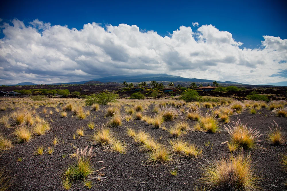 Kukio Maniniowali Phase 2, Lot 16