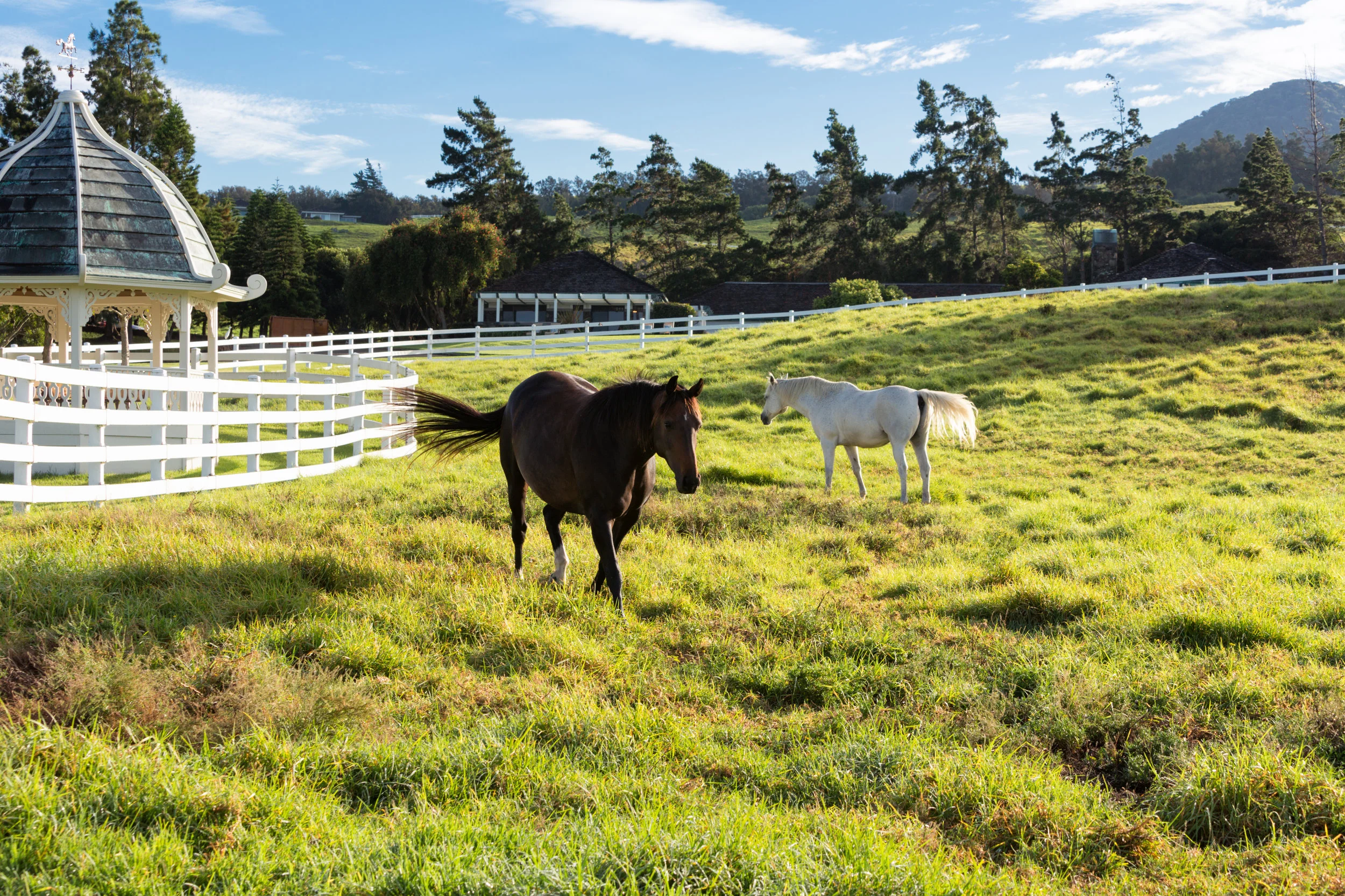59-1676_Kohala_Ranch_Rd.-15.jpg