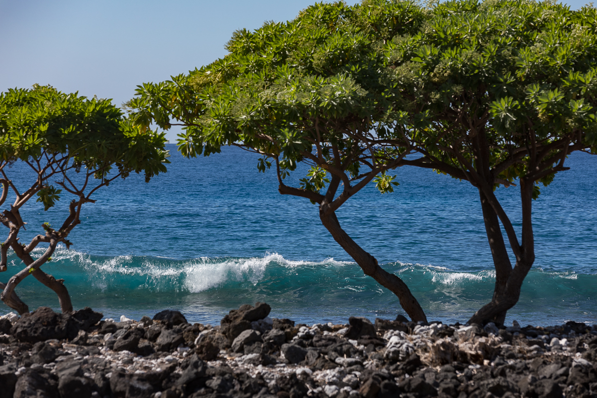 Mphotoi-77-212 Ke Alohi Kai Place Lots-131.jpg
