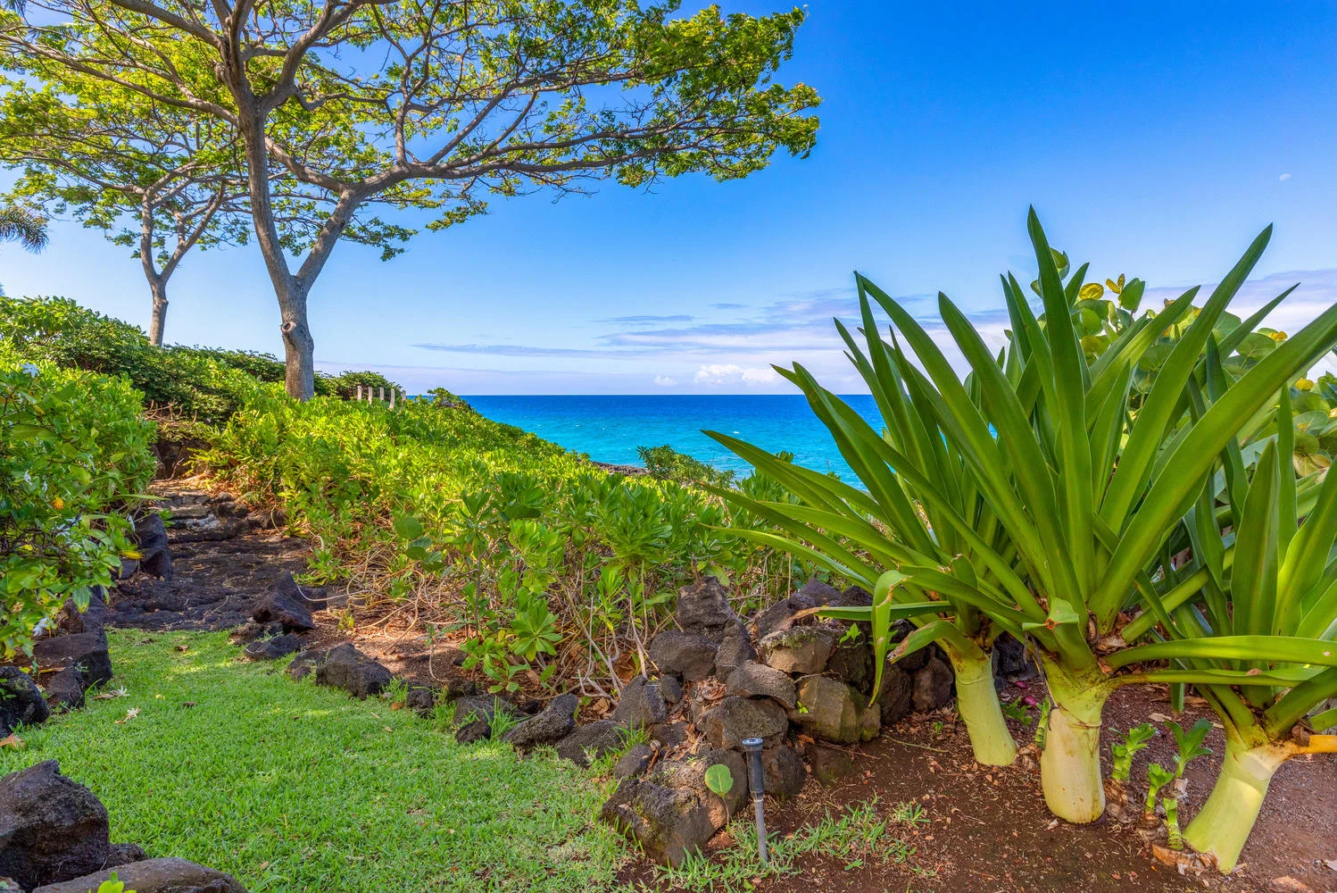776556 776560 Alii Drive-large-018-5-Yard-1499x1000-72dpi.jpg