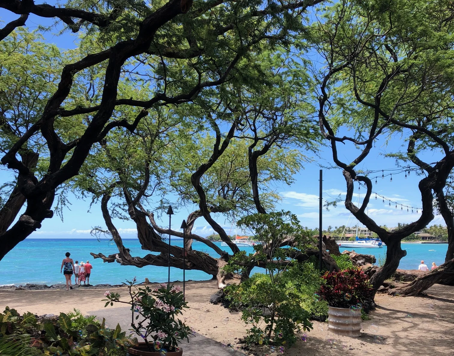 A-Bay at Waikoloa Beach Resort.