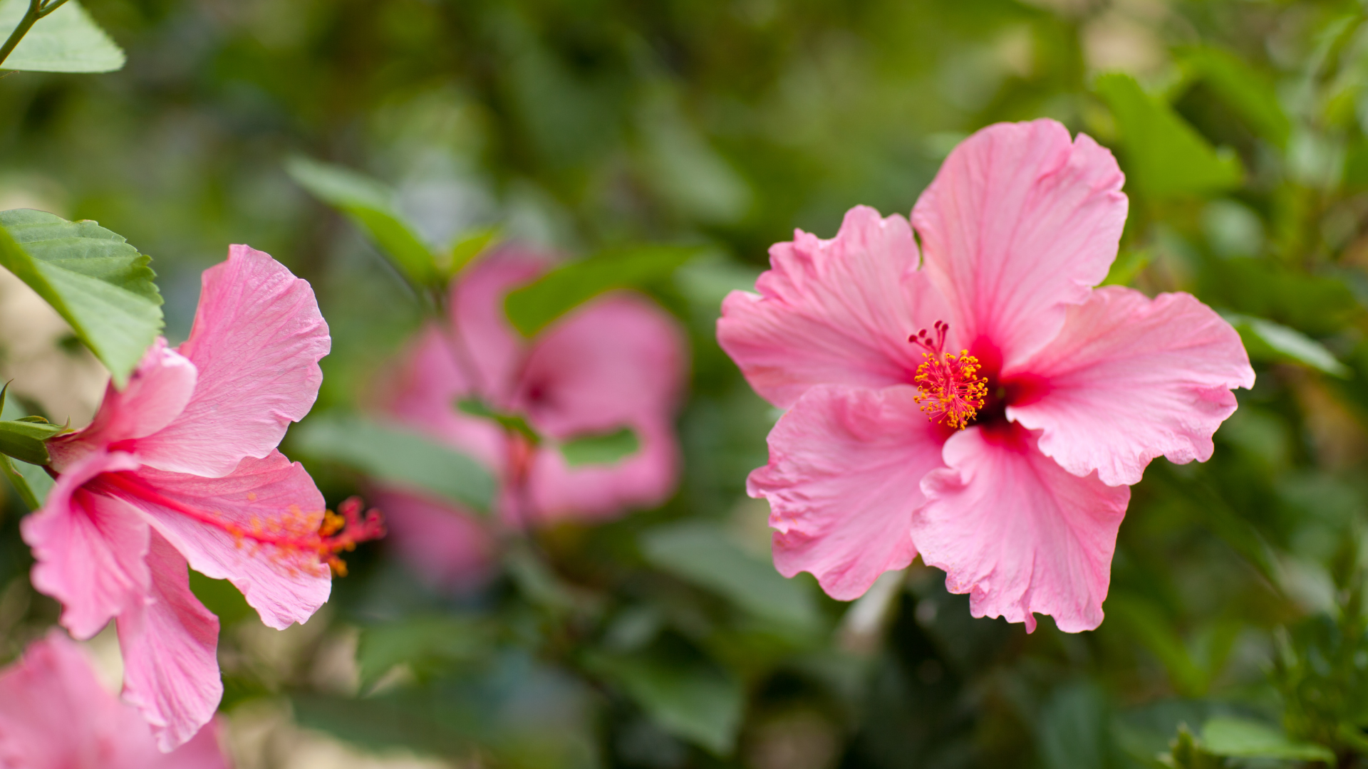 Untitled design - 2021-11-02T152907.074.png