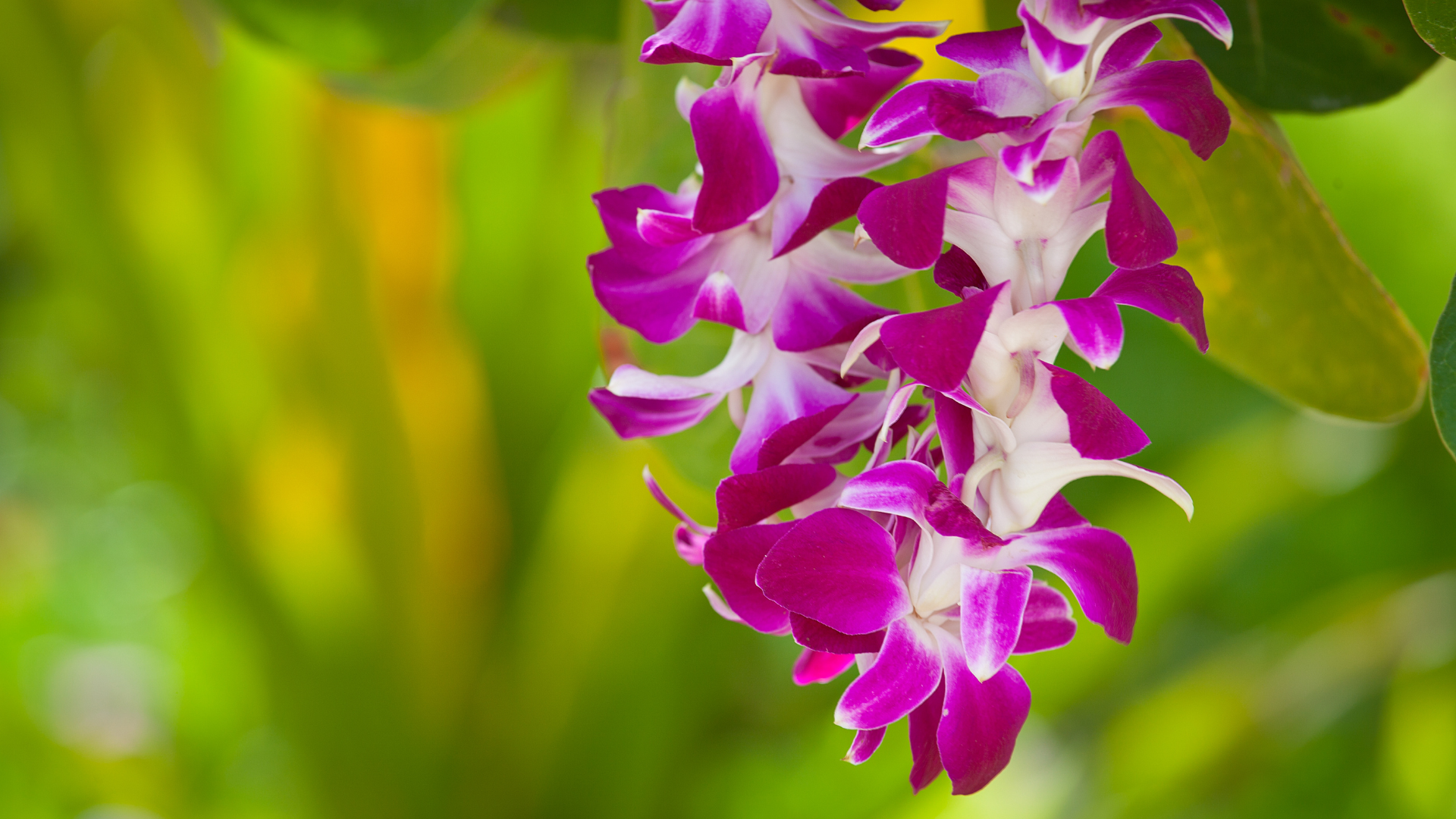 Untitled design (20).png