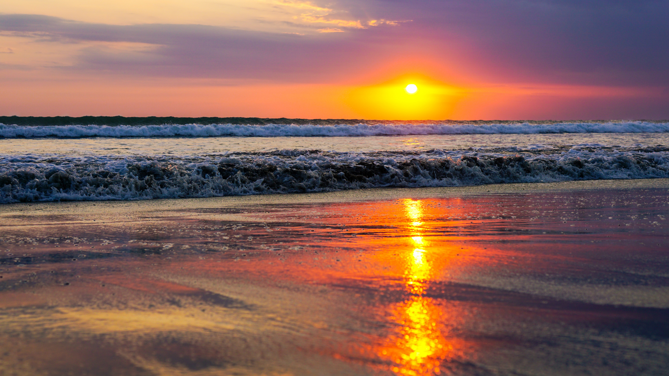 Untitled design (3).png