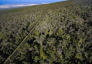 KALOKO MAUKA 10 ACRES