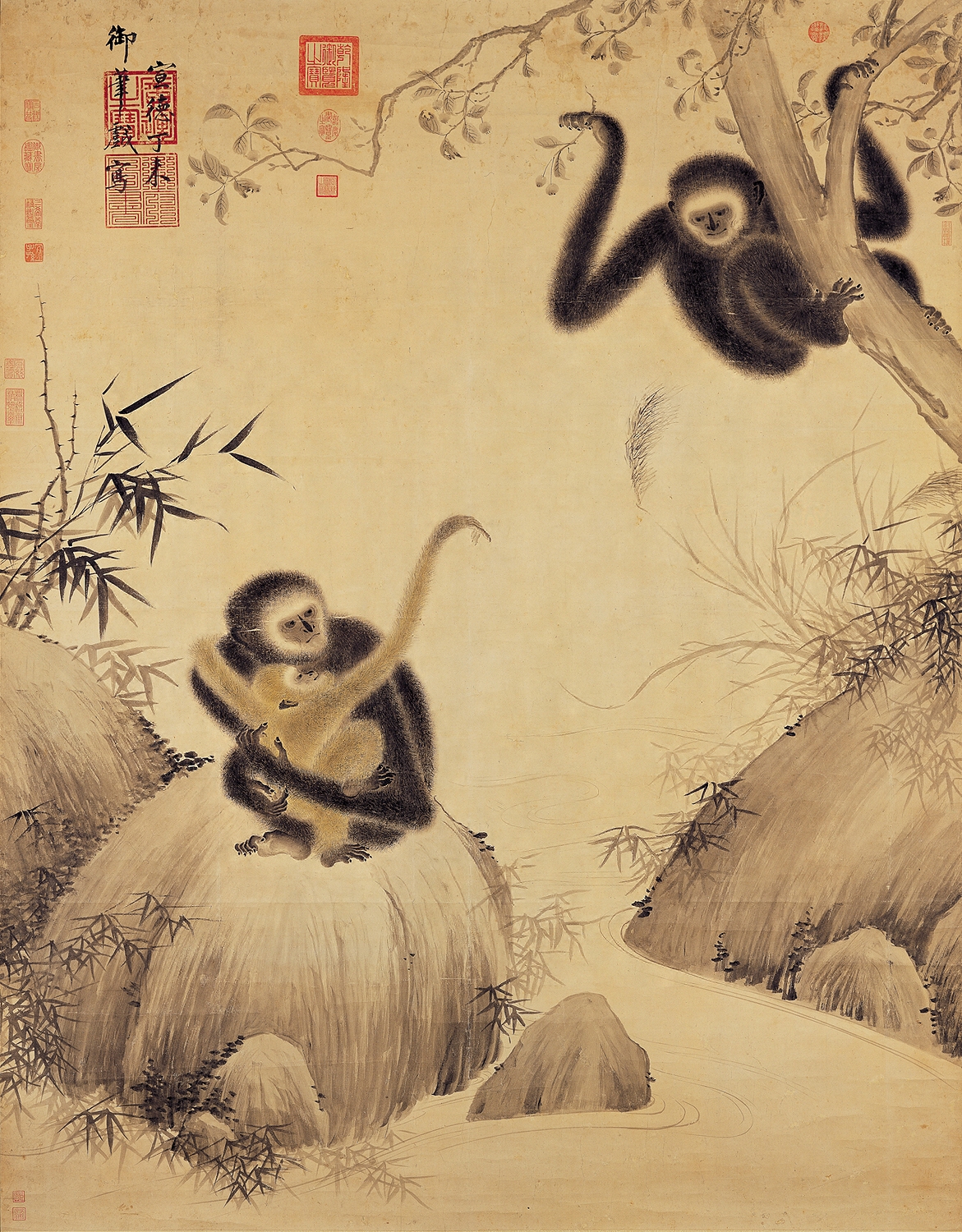 Year of the Monkey