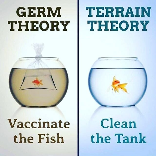 The &lsquo;germ&rsquo; Vs &lsquo;terrain&rsquo; theory is such an important concept to understand in health.  Otherwise know as &lsquo;allopathic&rsquo; Vs &lsquo;naturopathic&rsquo;, The germ theory says that germs are bad and we need to kill them o