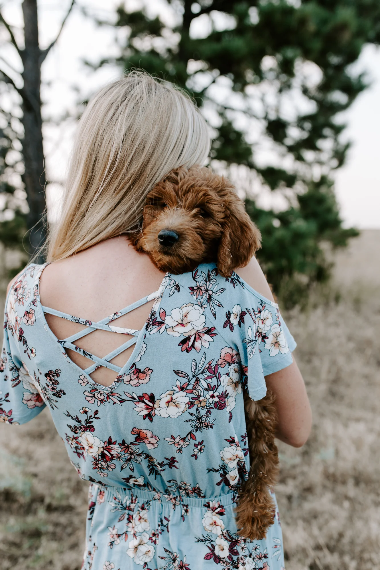 matt, megan & henry | family photographer | puppy photoshoot
