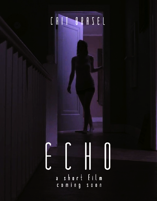 echo teaser poster.png