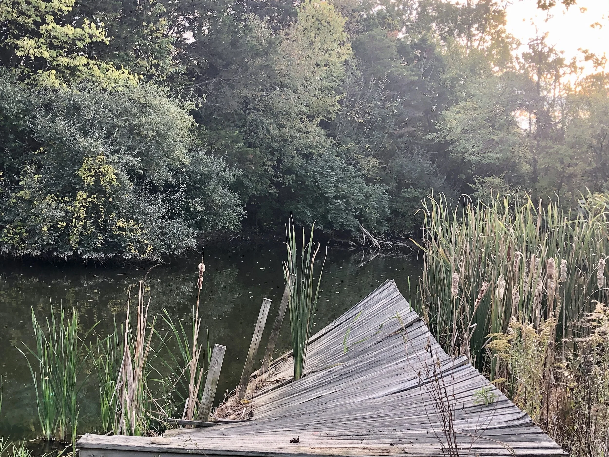 dock.jpg