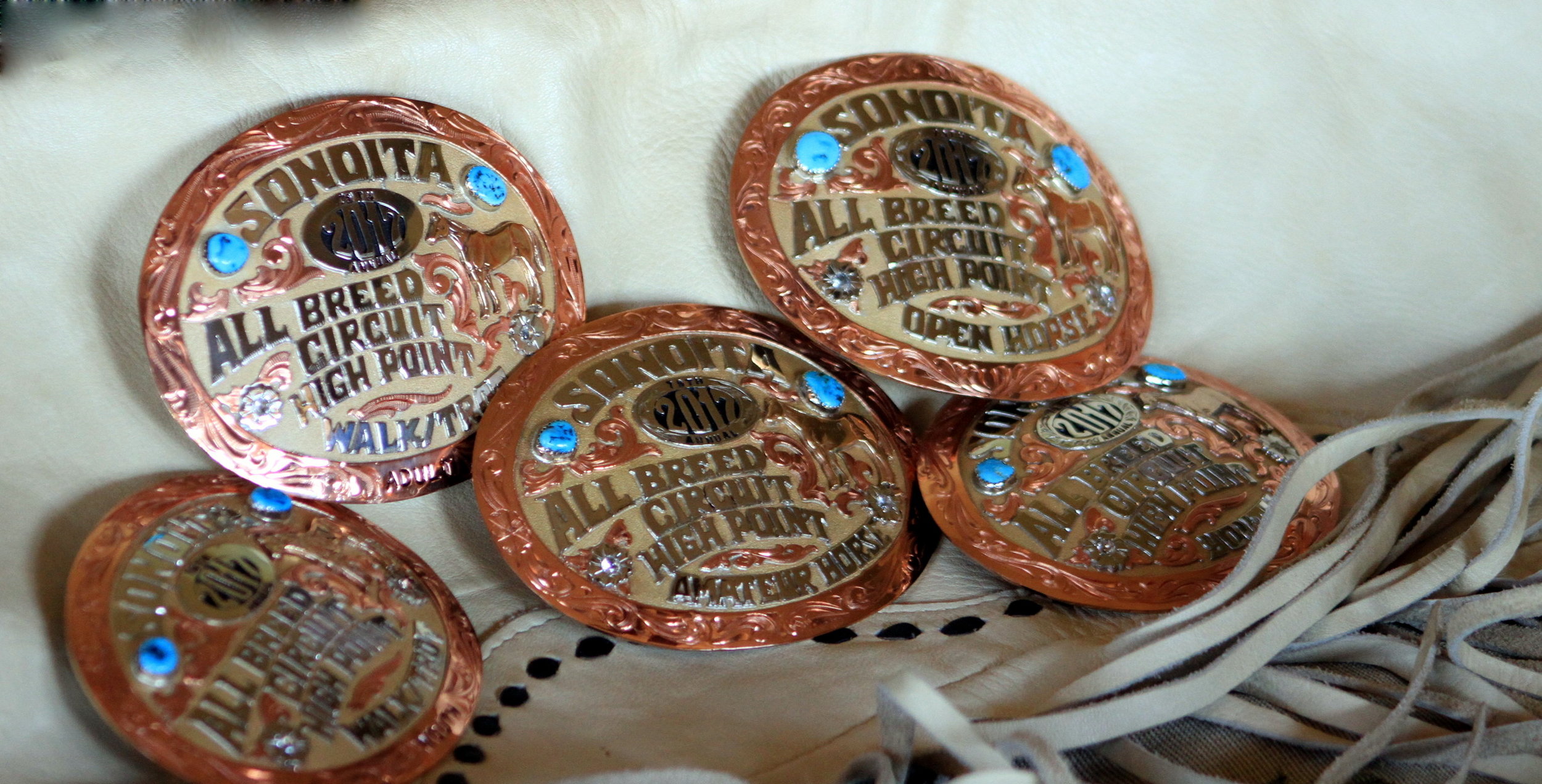 2017 SABC Buckles.JPG