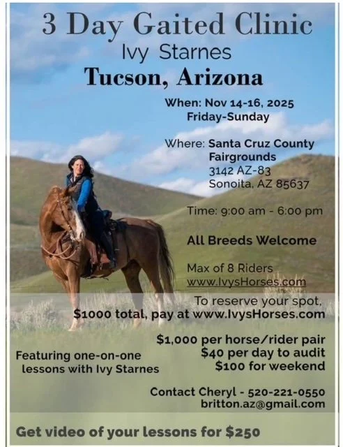 Ivy Starnes Gaited Clinic
