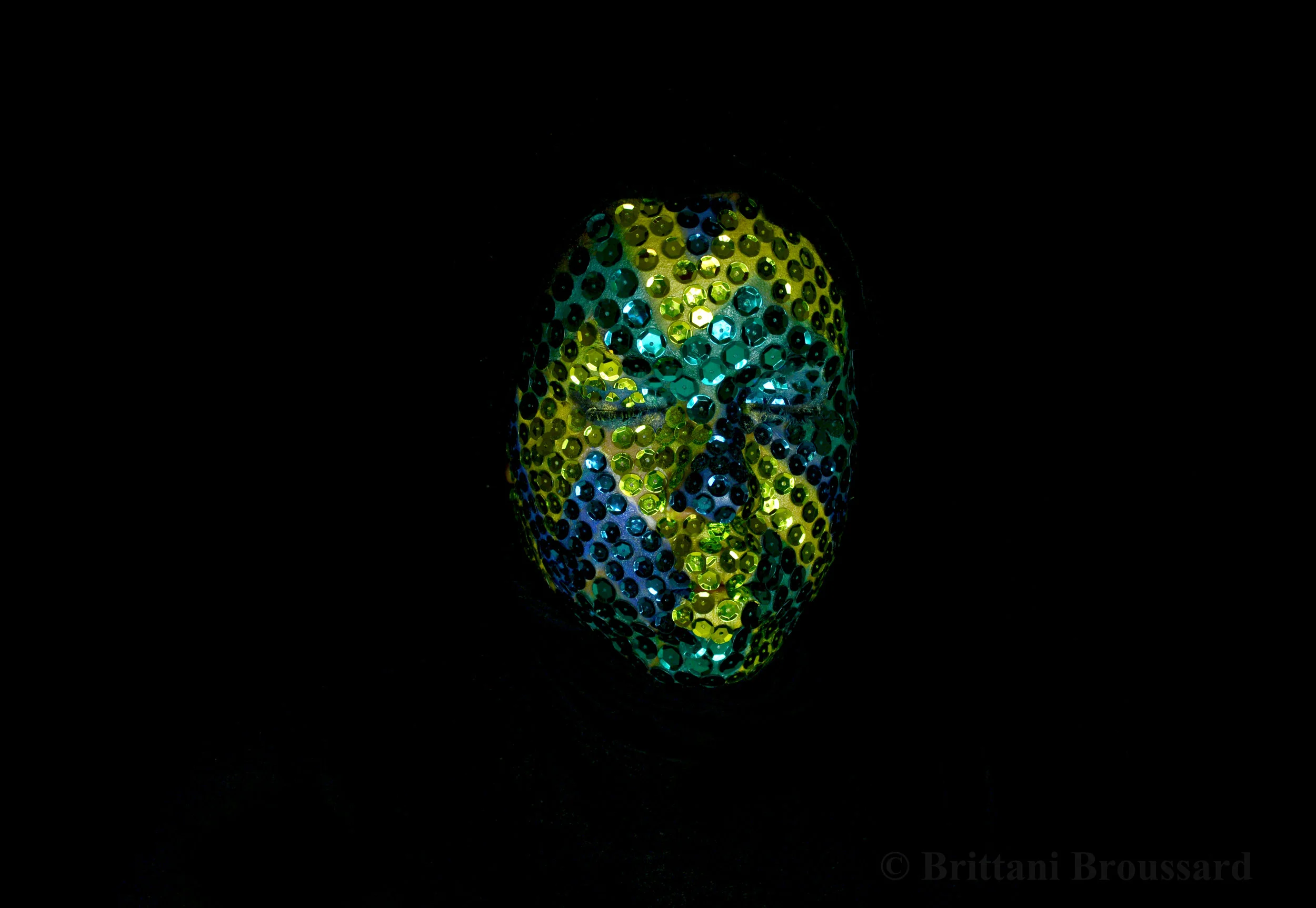 DSC_0333 retouch watermark copy.jpg