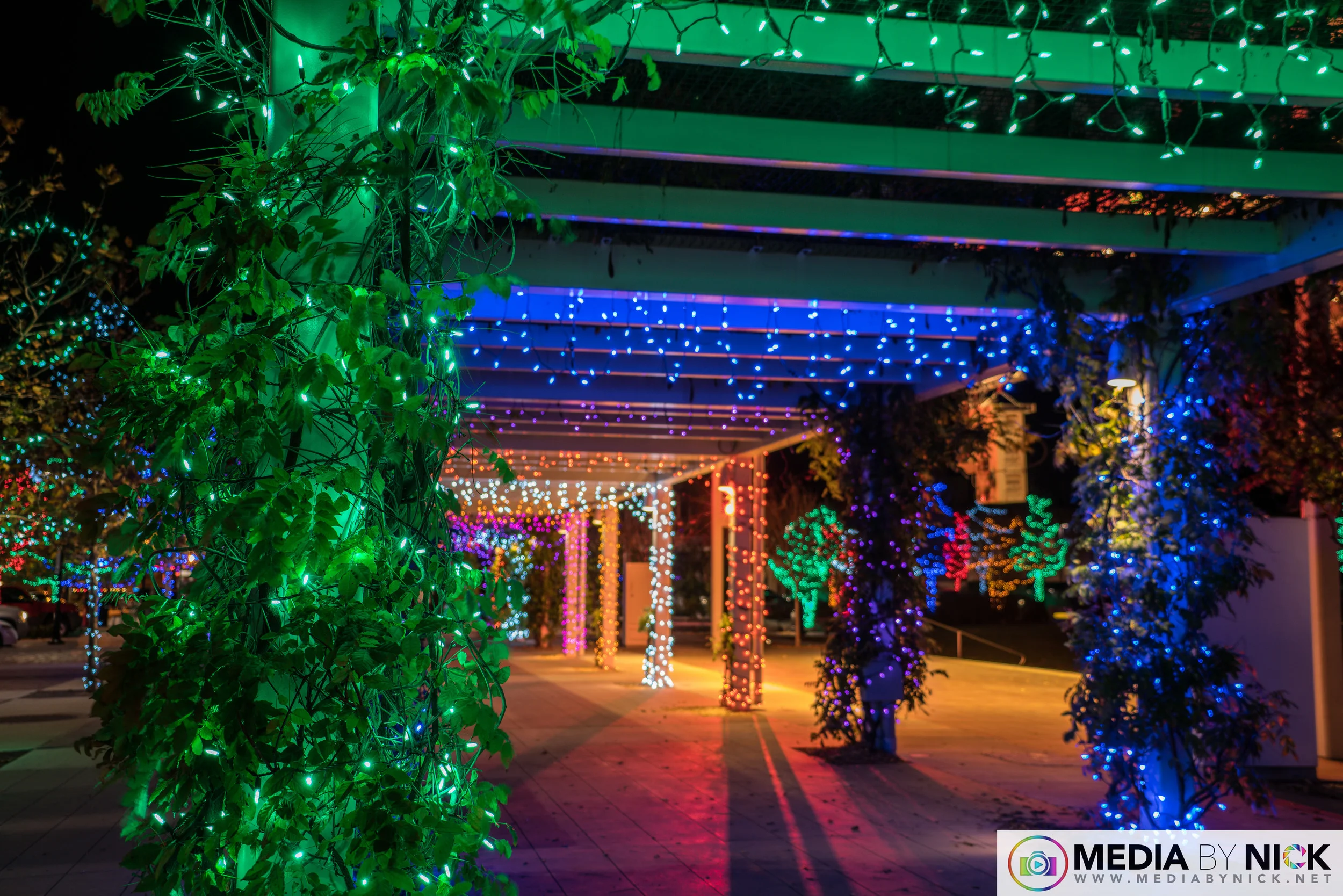 DSC02528.jpg
