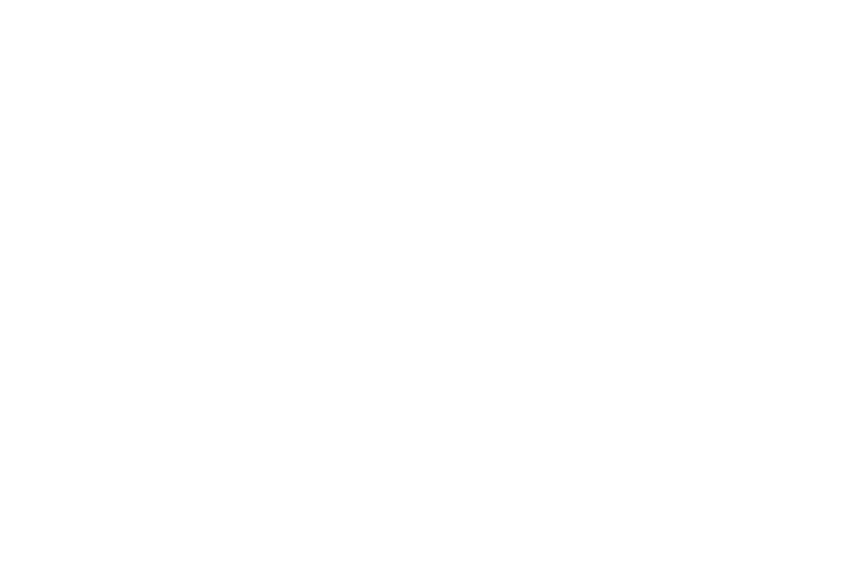 BEST DOCUMENTARY - SHANGHAI INTERNATIONAL FILM  TV FESTIVAL - 2017.png