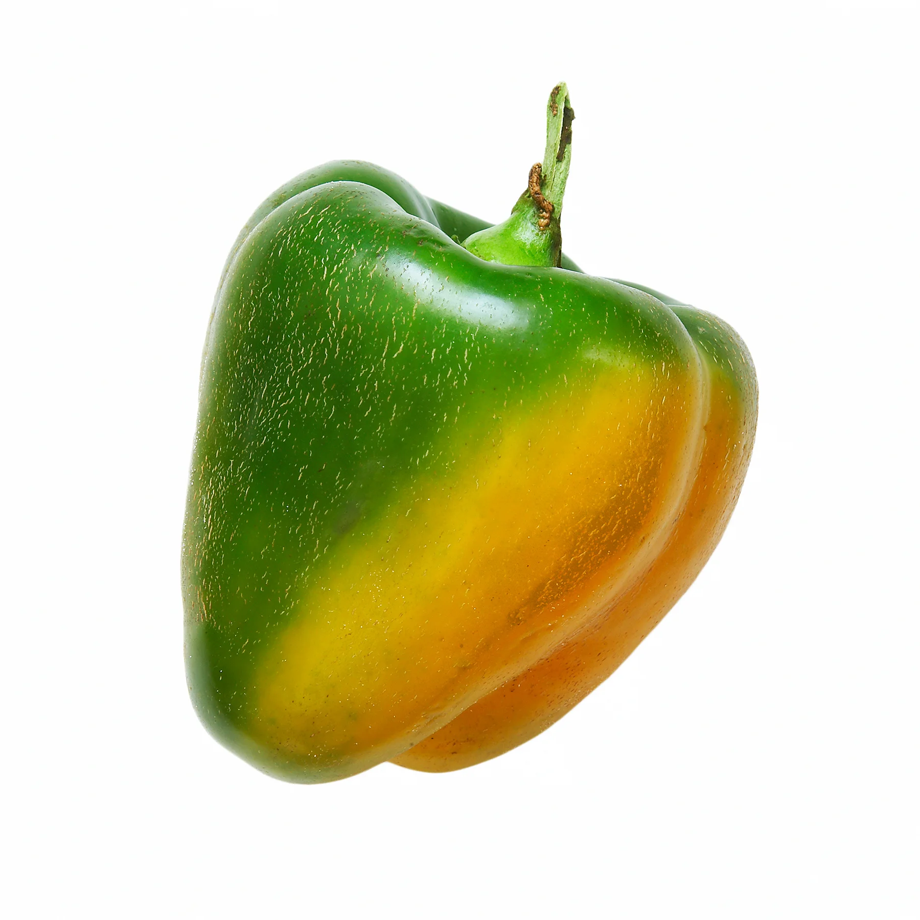PEPPER-BELL-03-ORANGE-GREEN-ORGANIC-VEGETABLEVEGETABLE-©-JONATHAN-R.-BECKERMAN-PHOTOGRAPHY.jpg