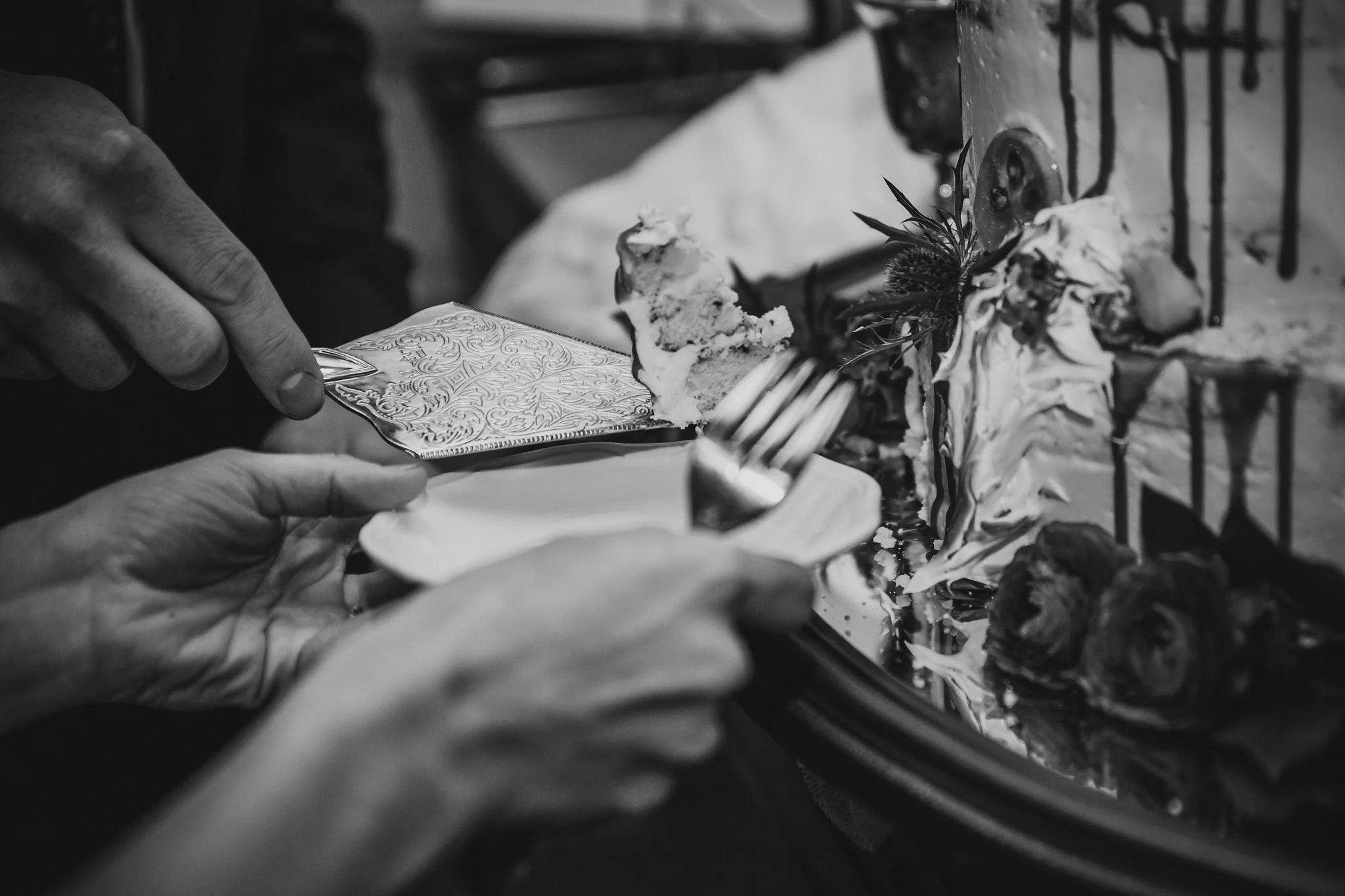 AZ3A7312jpg_BW.jpg