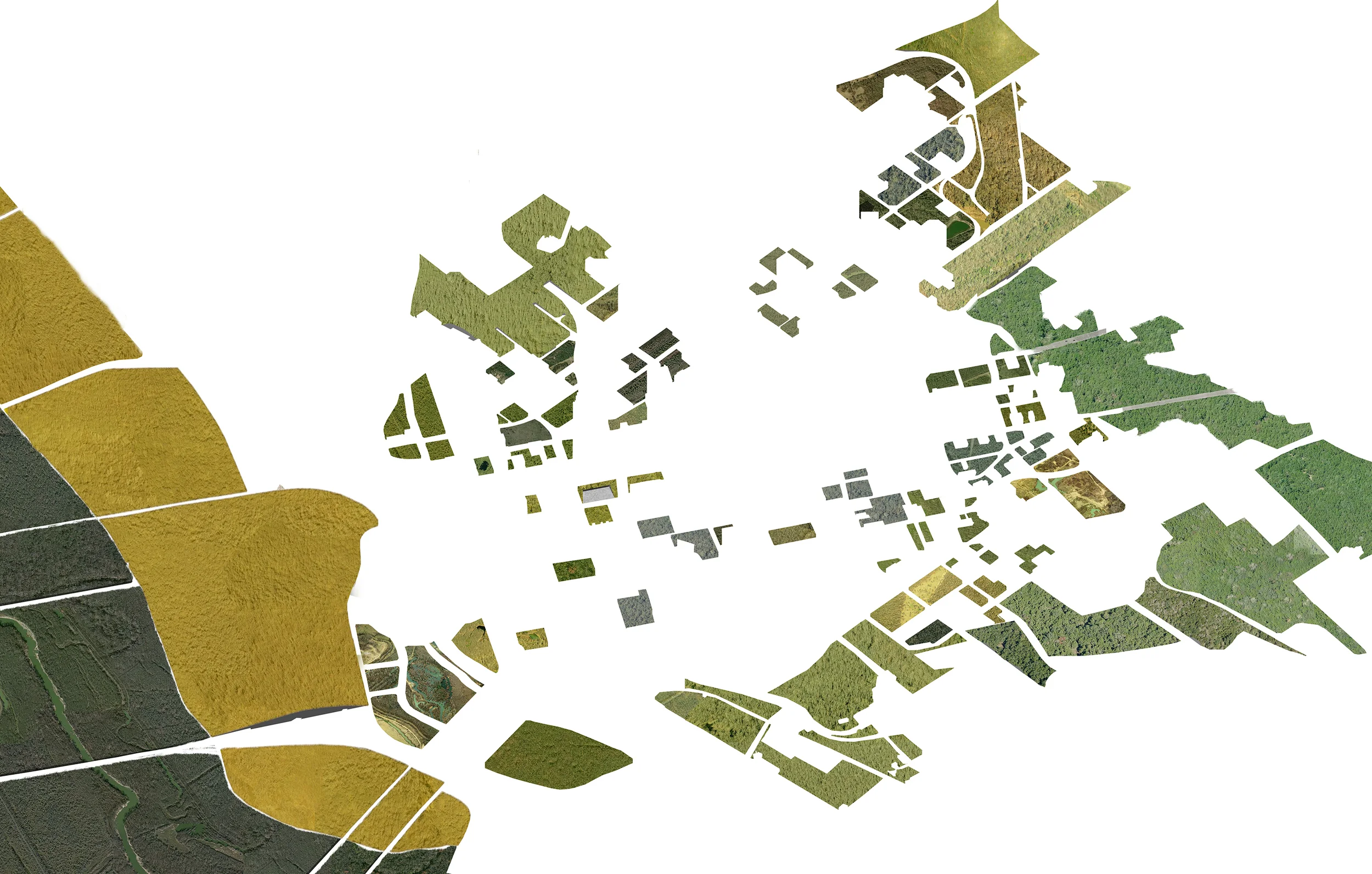 Aerial Green Spaces.jpg
