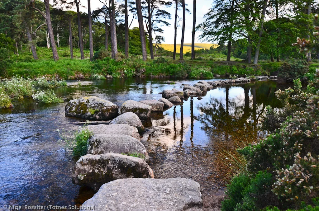 DSC_1387.jpg