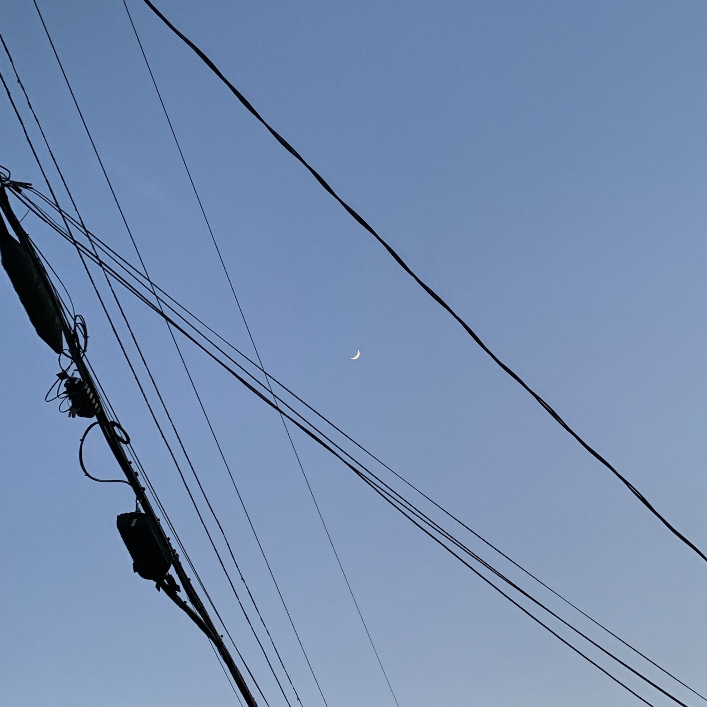 IMG_6618.jpeg