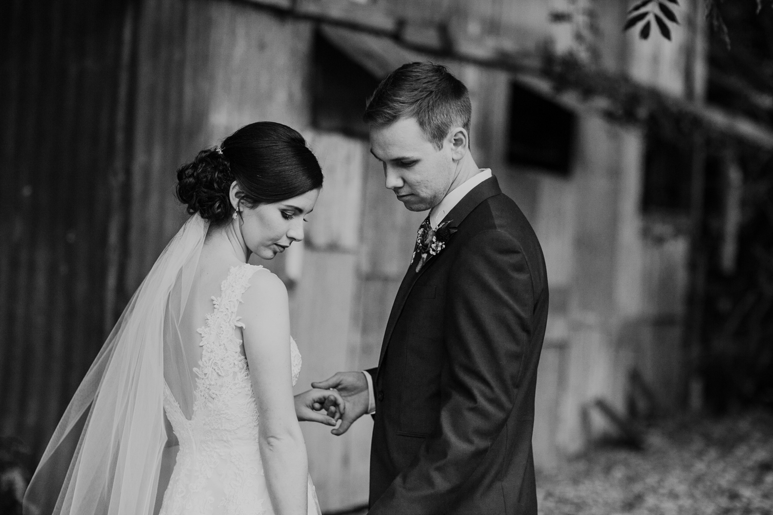 Boomerang_Farm_Gold_Coast_Wedding_Photography-201.jpg