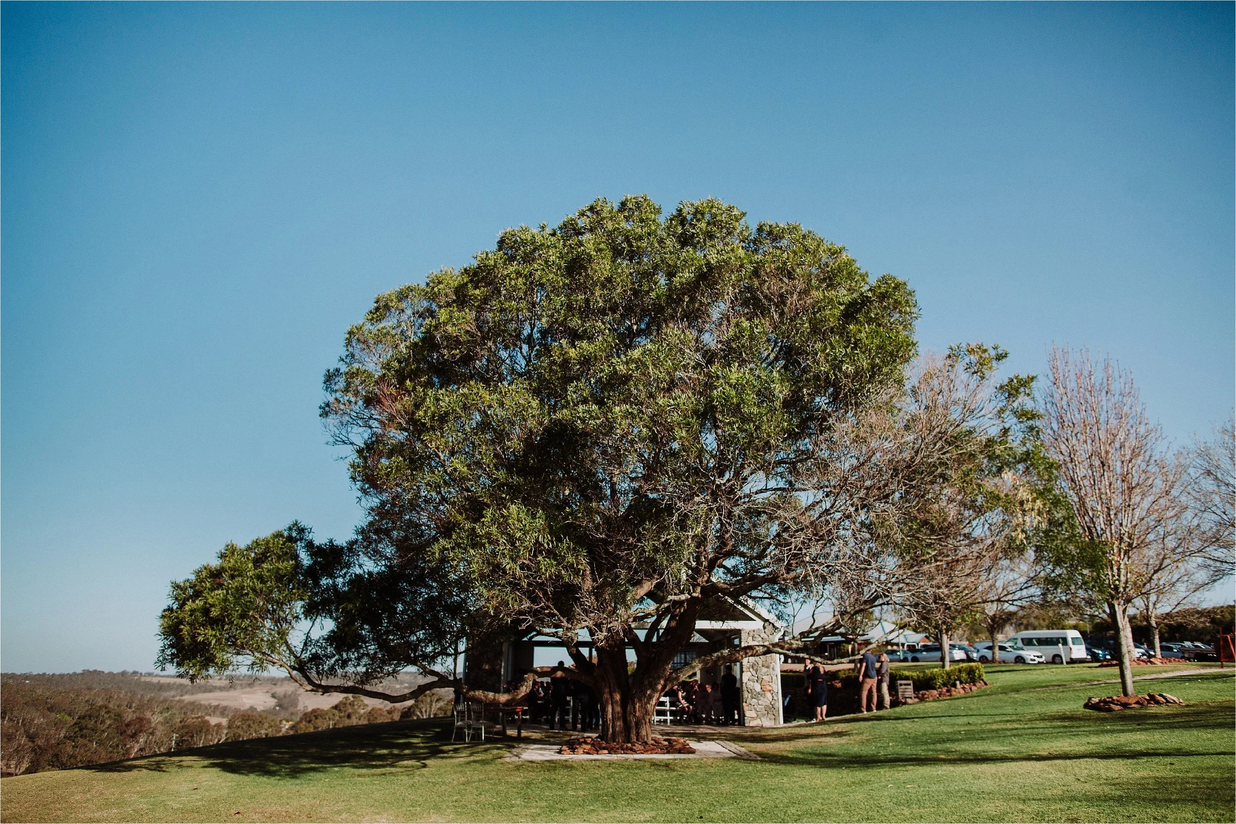 Towoomba - Preston - Peak - Wedding - Gold - Coast - Wedding - Photographers_0031.jpg
