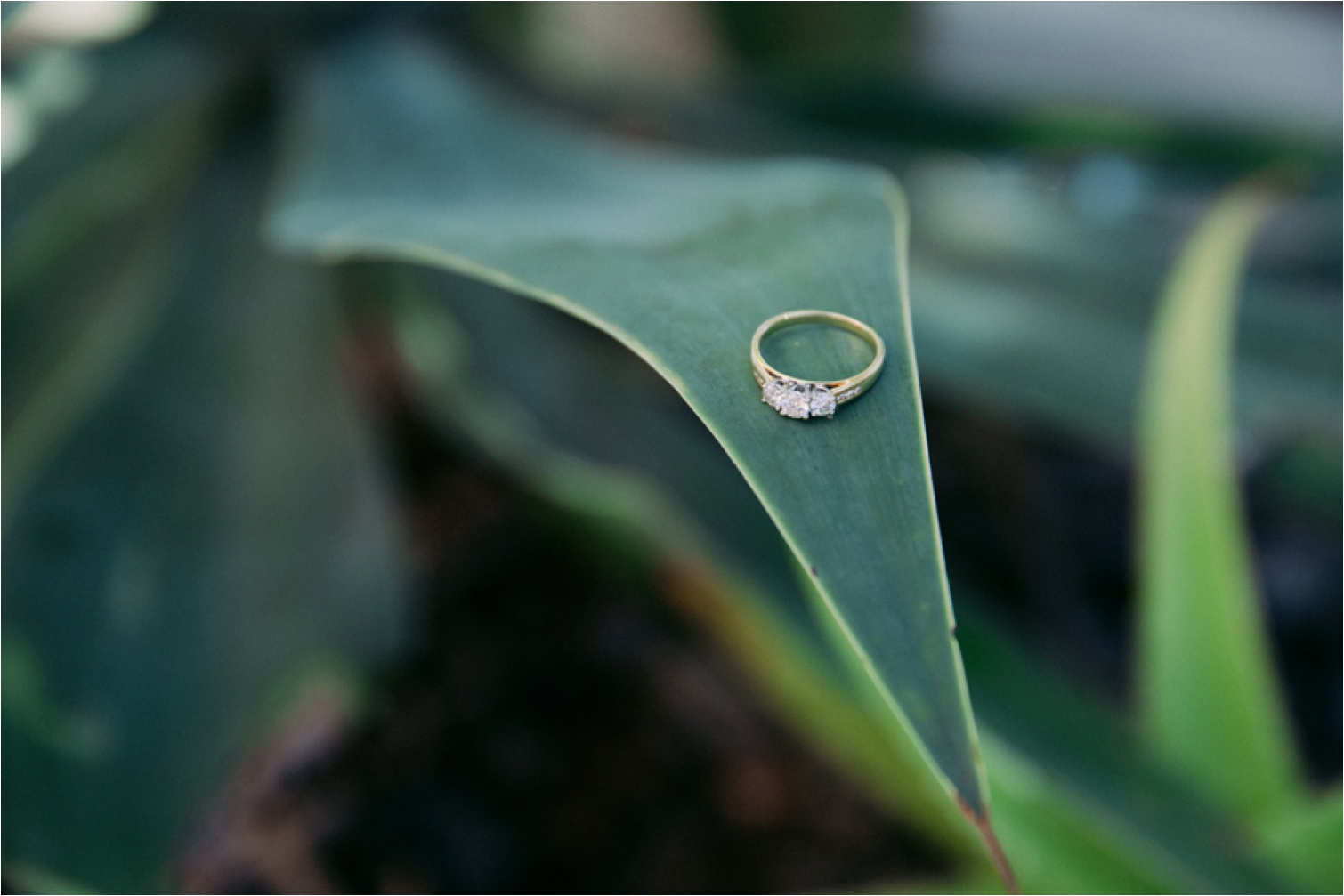 Bribie_Island_Wedding_Photography_0001.jpg