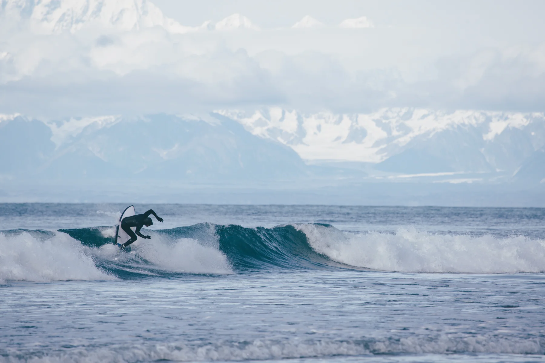 Feinblatt_20150925_53999_WEB ONLY.jpg