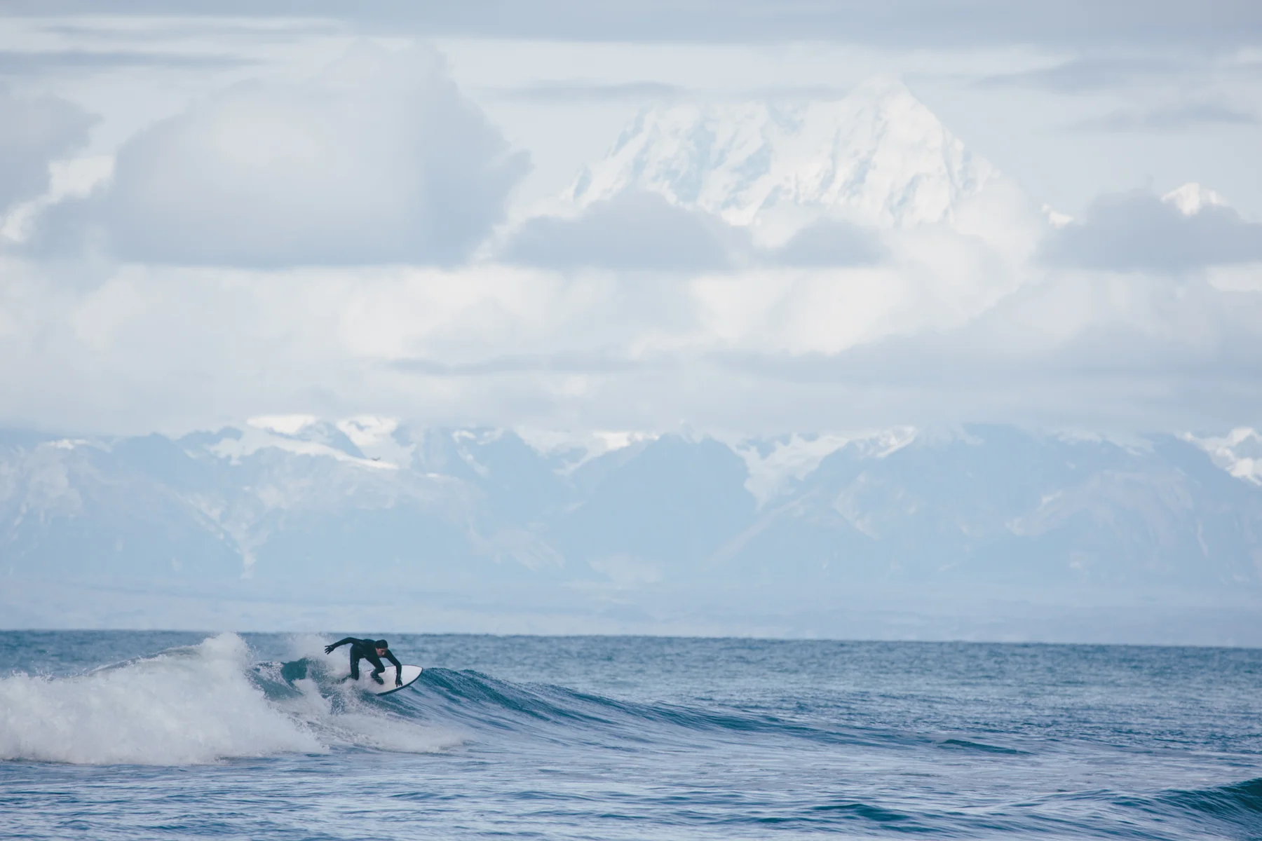 Feinblatt_20150925_53905_WEB ONLY.jpg