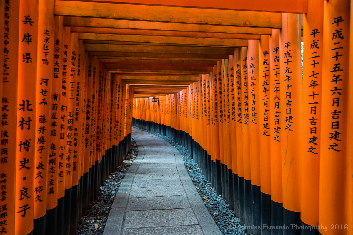 Fushimi-inari-taisha shrine