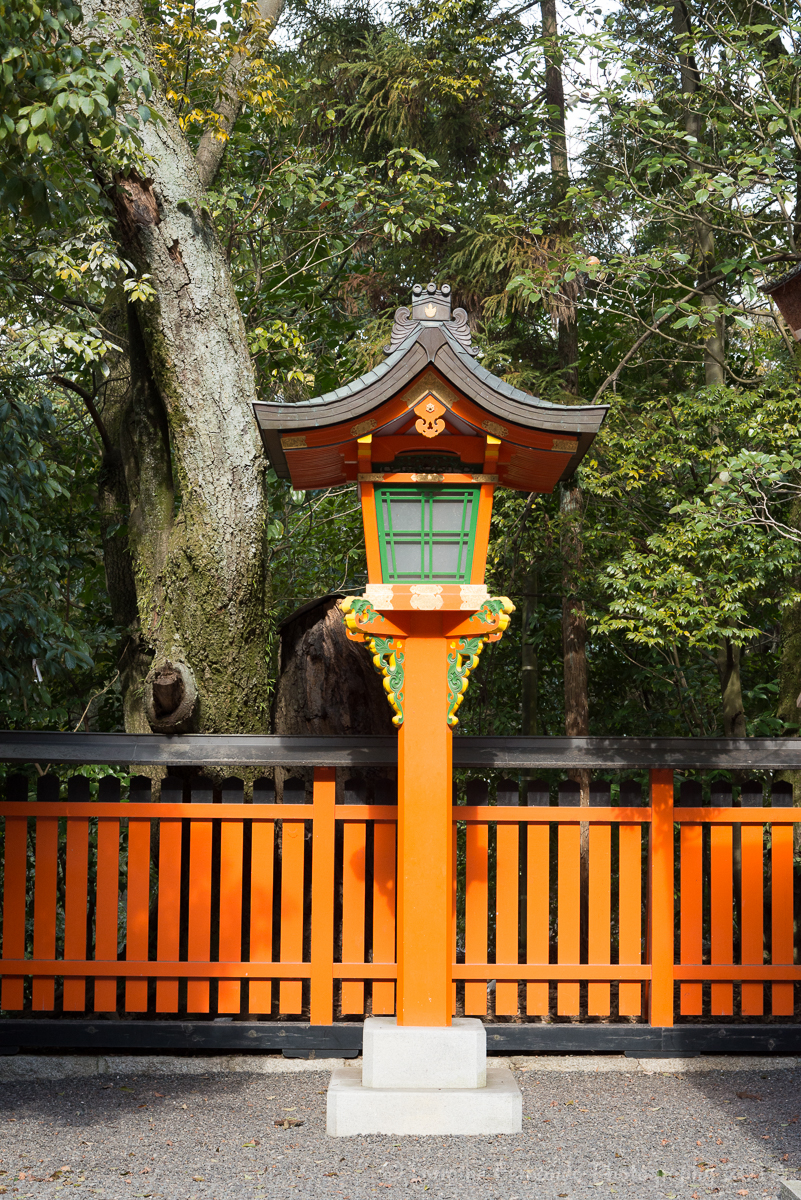 Fushimi-inari-taisha shrine