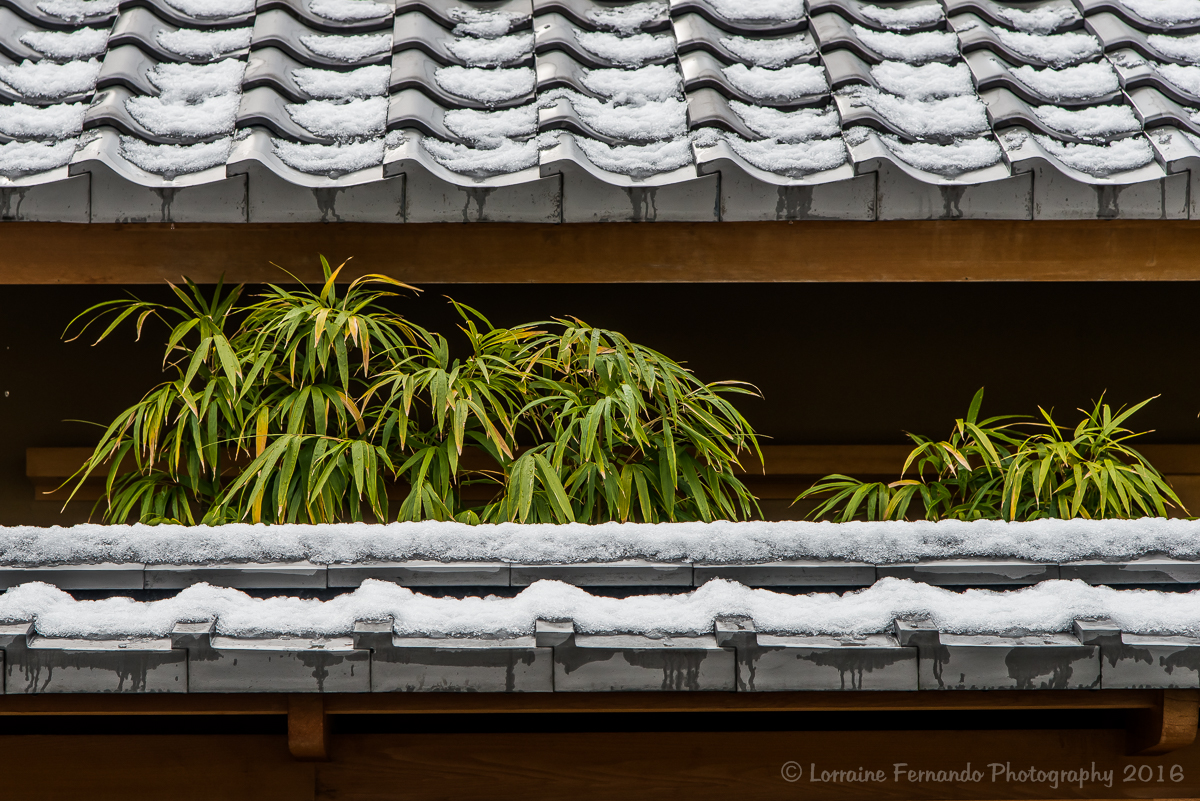 Kyoto Cityscape