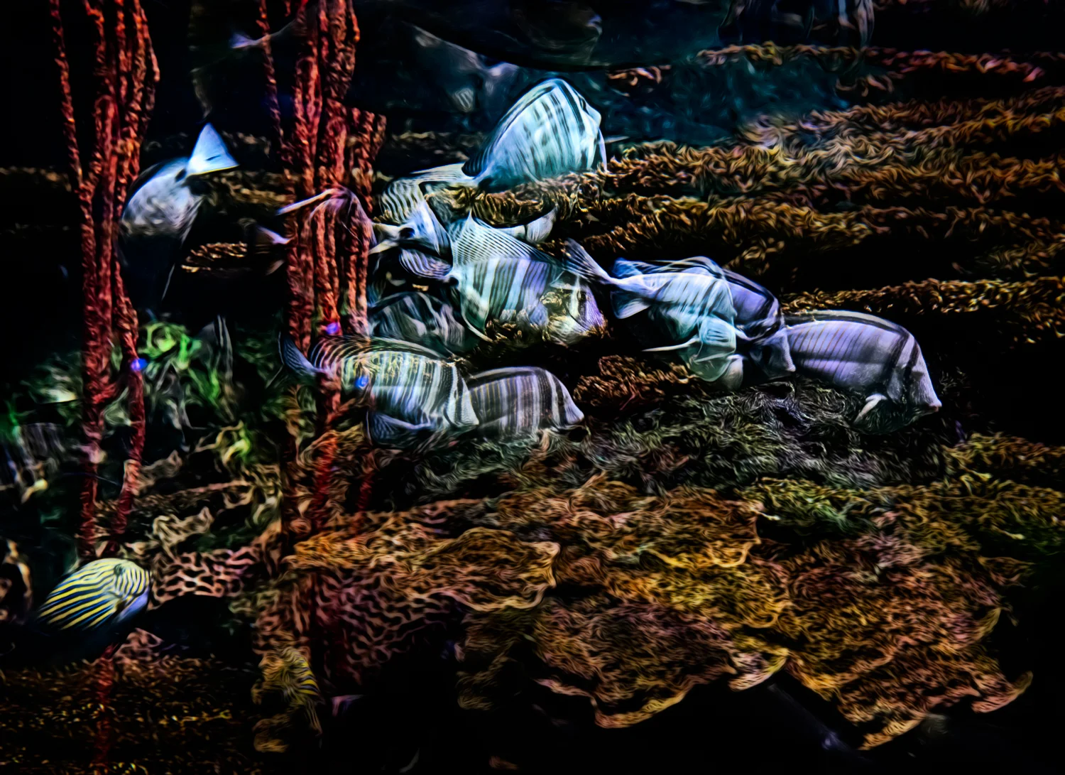 Fish School