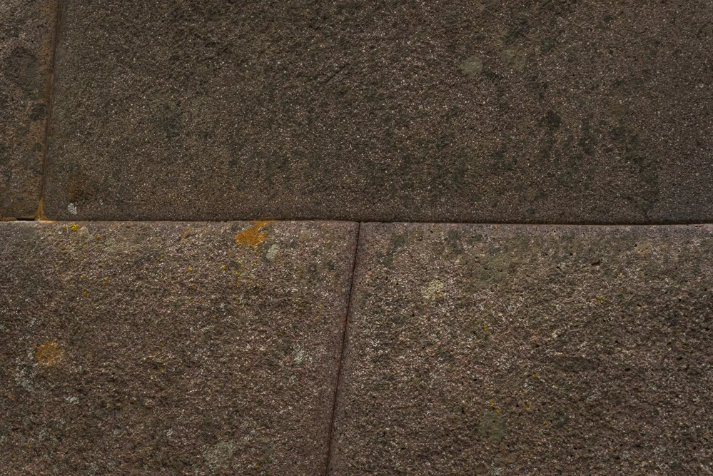 _LGF3243.jpg