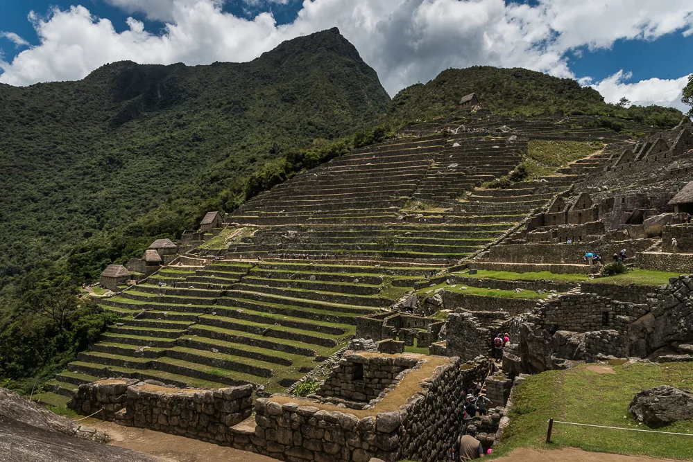 View of the terraces from the lower point of the Urban Sector. The Watchman's Hut can be seen at the top right of the photograph.