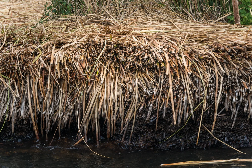 The reeds are layered to form the base of the island.