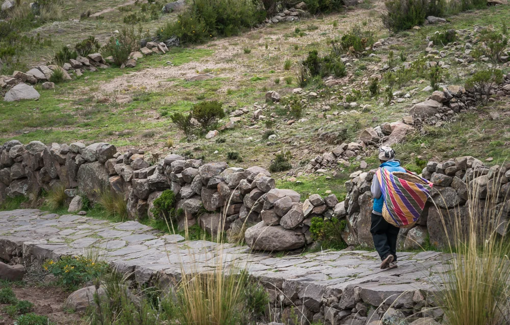 Here, everyone carries a pack on their backs. When loads are too heavy, llamas are used to carry loads up and down the hills.