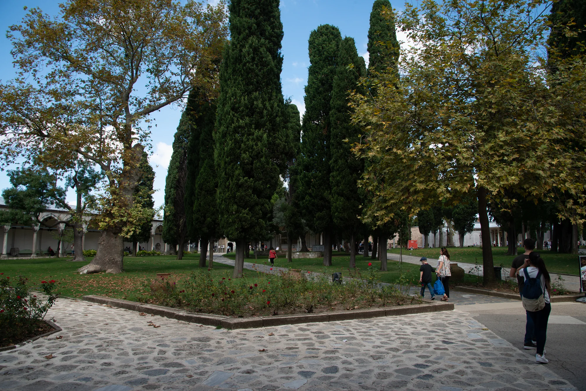 -_LGF5261.jpg