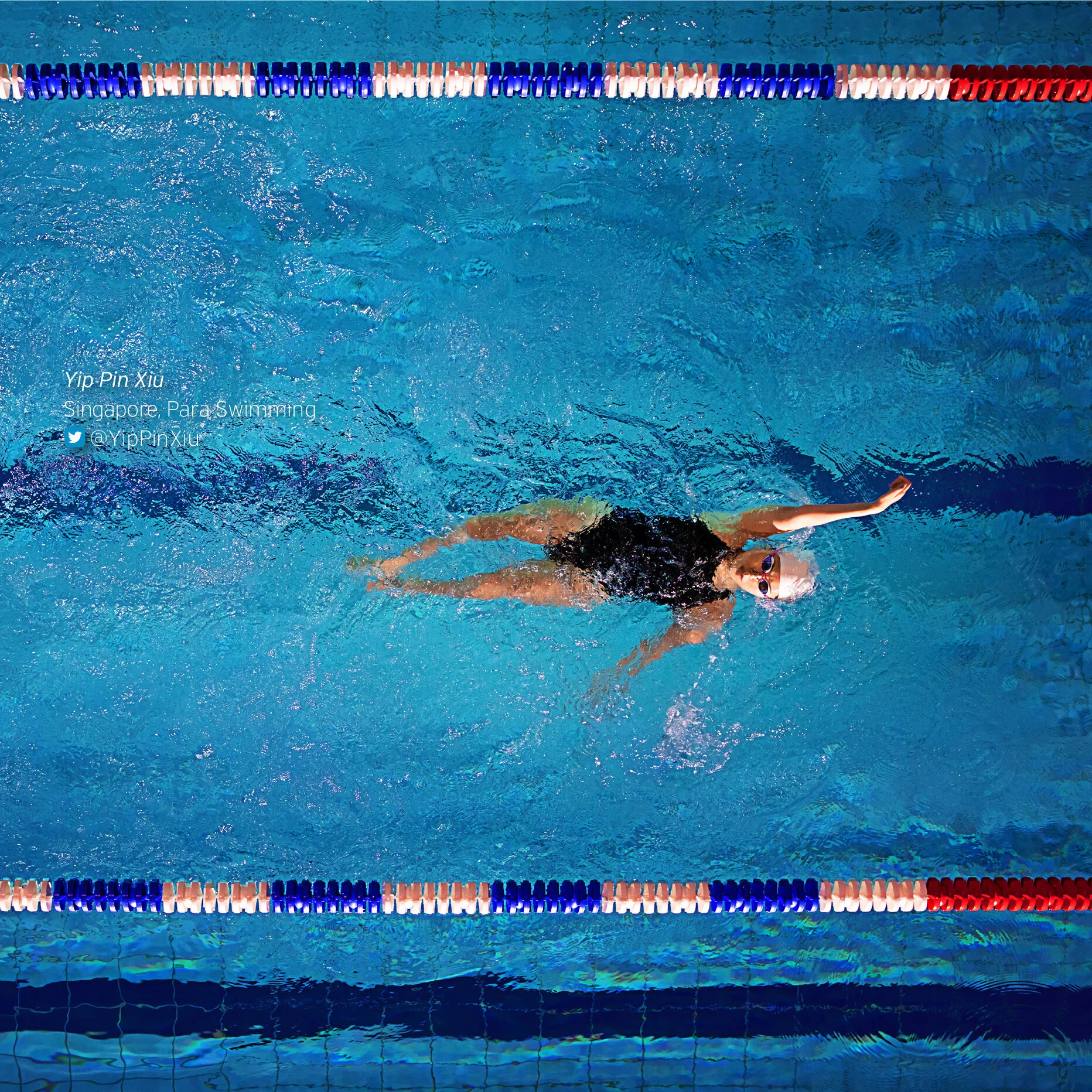 IPC Scrim Yip.jpg