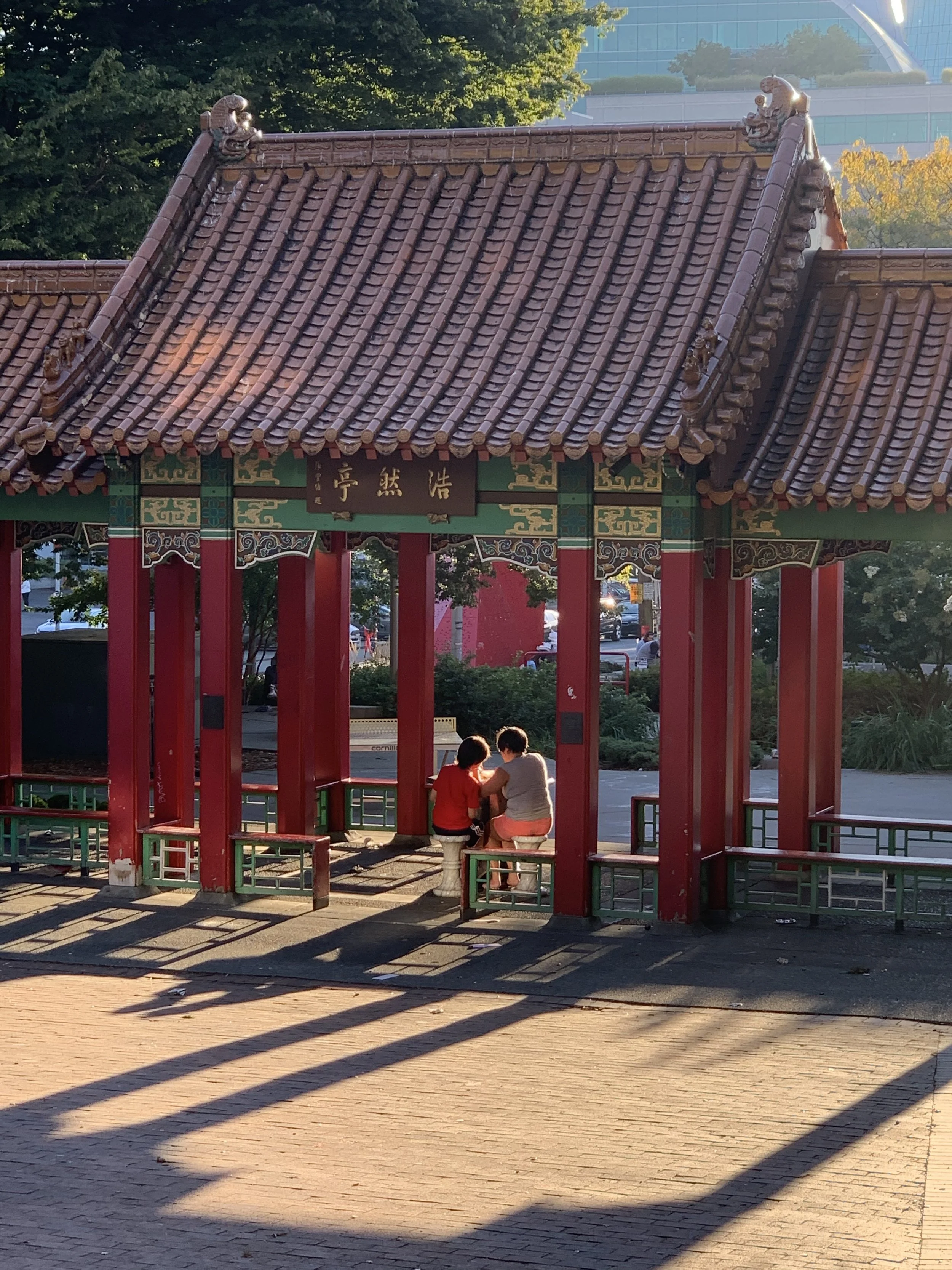 IMG_6933.jpeg