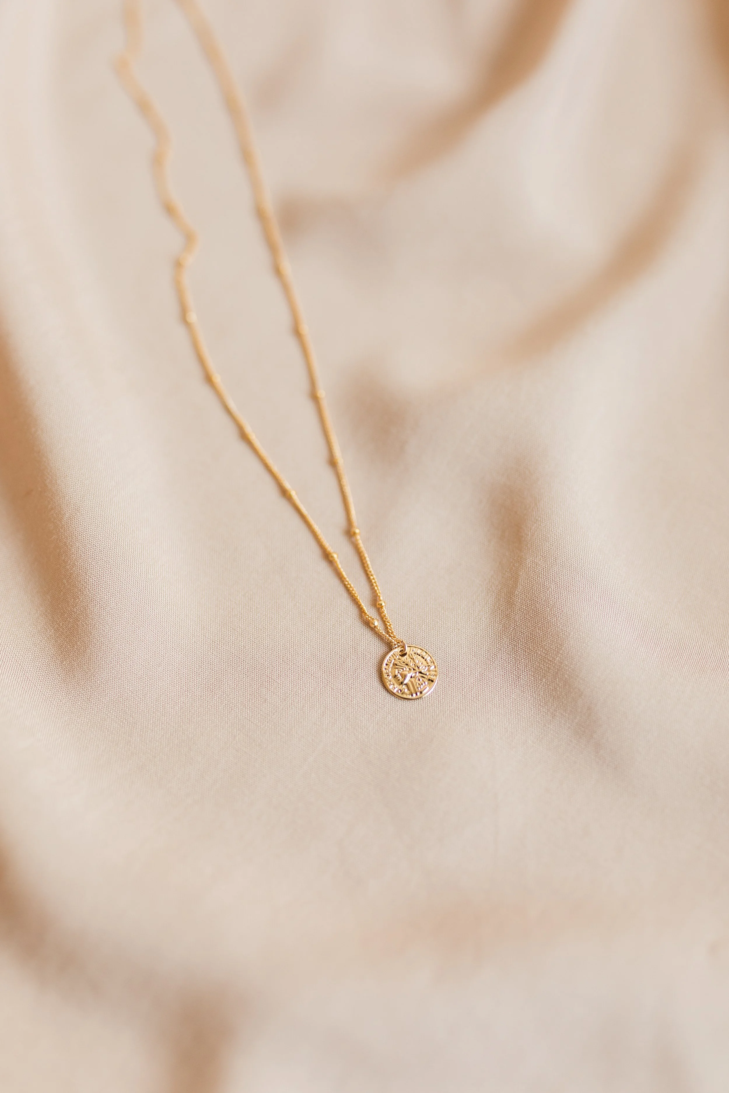 Mini Coin Necklace — Lavender and Grace