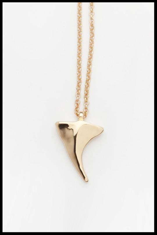 sharktooth Gold 1..jpg
