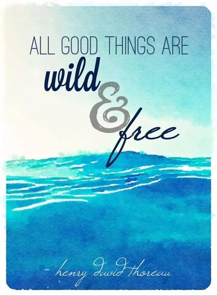 Quote of the Day: Wild & Free