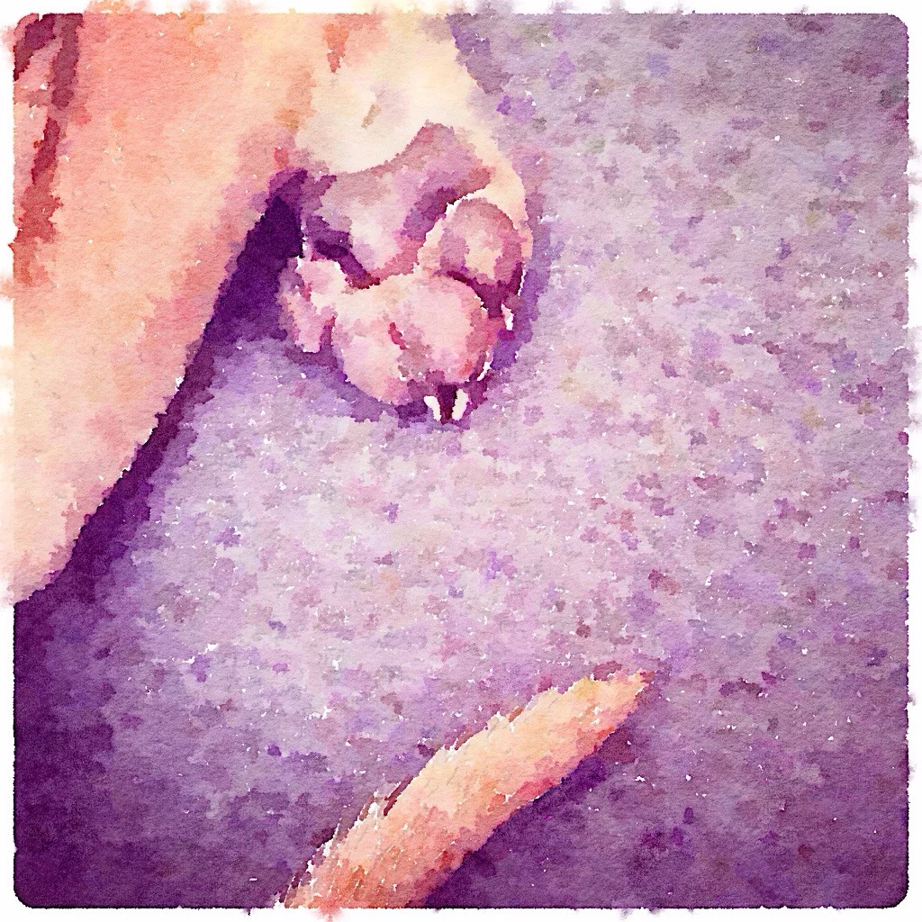 Afternoon Puppy Break