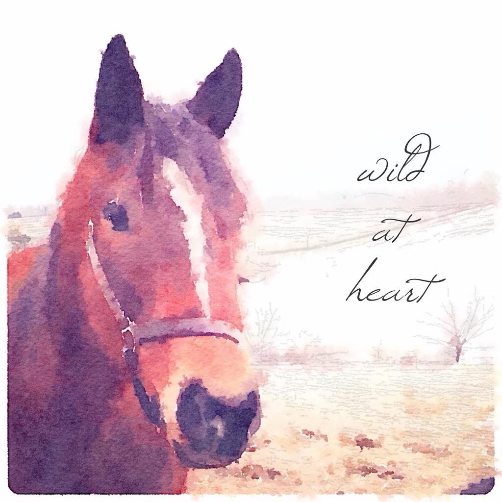 Quote of the Day: Wild at Heart