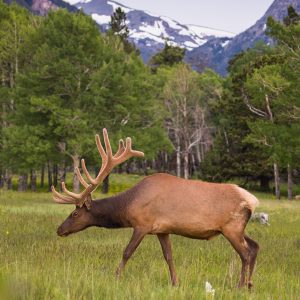 Photo from Nick Burns Images via Heather Christopher Travel