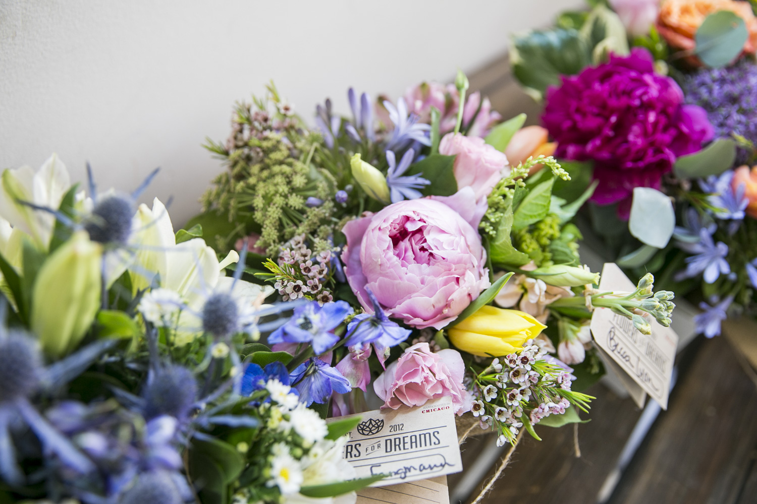 Saturate_FlowersforDreams_45.jpg