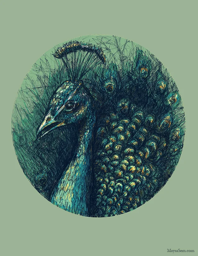 Peacock